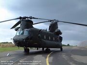 Chinook