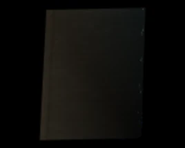 Diario de un investigador item