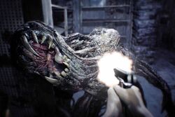 Molded Resident Evil Wiki Fandom Molded Resident Evil Wiki Fandom