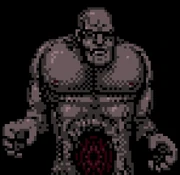 The "Tyrant" that appears in the game.
