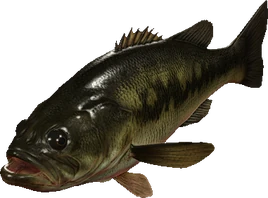 RE4R Black Bass