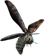 The Giant Moth as seen in Resident Evil Outbreak's Below Freezing Point scenario