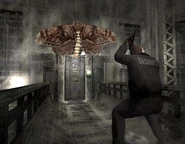 BFP1.jpg (33 KB) Giant Moth in Below Freezing Point.