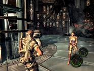 Experiment facility re5 (5).jpg (330 KB)
