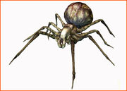 Black Widow.jpg