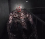 Sweeper in Resident Evil: The Darkside Chronicles.