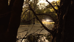 Louisiana5