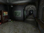 The corridor leading to the hallway