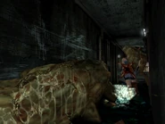 Sliding Worm in front.png (210 KB) A Sliding Worm shown in front during the game.