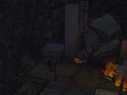 Iron bridge (7).jpg (53 KB) Two green herbs.