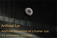 Artificial Eye description