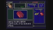 Japanese item description