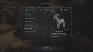 Inventory