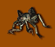 Plague Crawler CG art.jpg