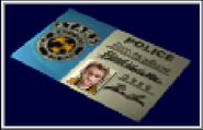 Brad's S.T.A.R.S. ID Card.