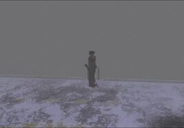 CODE Veronica Helipad 1