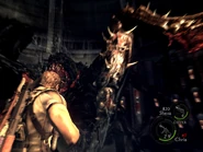 Experiment facility re5 (8).jpg (192 KB)
