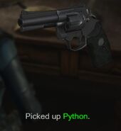 Python