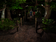 RE3 Woodland Path 1