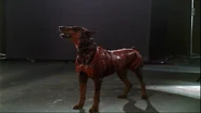Apocalypse Smoke and Mirrors featurette - Dog in make-up 1.png (1.67 MB) A dog, possibly Jasmine, in make-up.