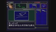 Japanese item description
