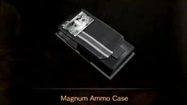 Magnum Ammo Case