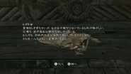 RE5 Nintendo Switch - JPN Village Youth's Diary (6)