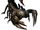 Stinger