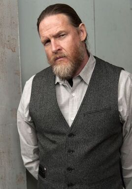 Donal Logue profile