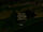 About the Plaga's Weakness