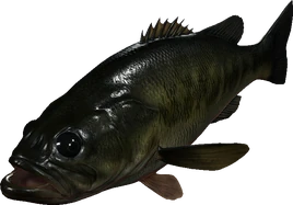 RE4R Black Bass L