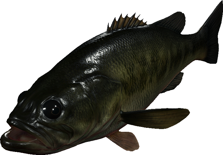 Black Bass (L), Resident Evil Wiki