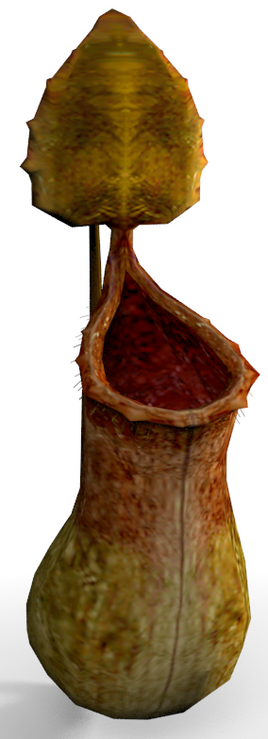 BetaCarnivorousPlant
