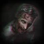 Zombie RE.NET icon