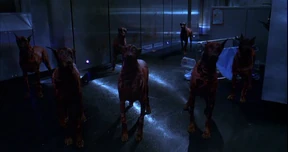 Vlcsnap-2012-02-07-01h22m48s82.png (185 KB) Ein Rudel Zombie Hunde im ersten Resident Evil Film.