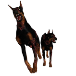 Resident evil 2 remake zombie dog