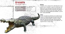 Crocodile guidebook