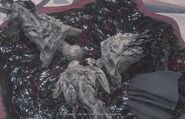 A pool of Face Eaters pull down a Husk