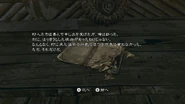 RE5 Nintendo Switch - JPN Village Youth's Diary (4)