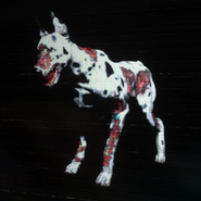 RERES Zombie Dog Skin002