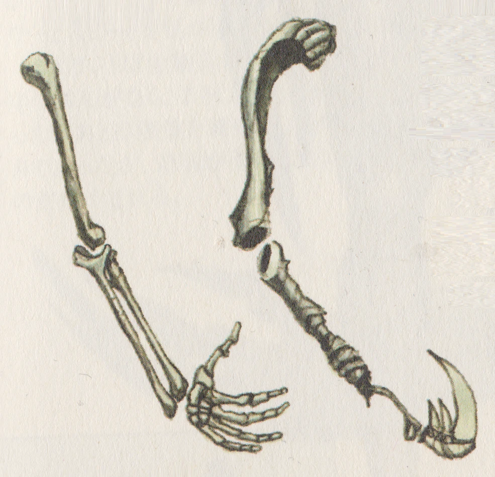 985?cb=20180622134819