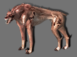 G Dog Resident Evil Wiki Fandom