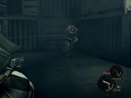 Ship Deck (26).jpg (126 KB) Duvalia