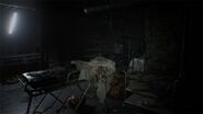 BIOHAZARD 7 resident evil cloud version (3)