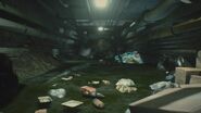 Alligator during gameplay