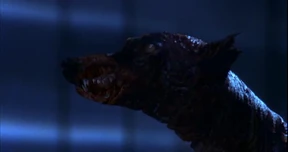 Vlcsnap-2012-02-07-01h22m51s114.png (128 KB) Ein anderer Zombie Hund im ersten Resident Evil Film.