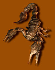 000901Sb.jpg