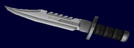 Knife CV