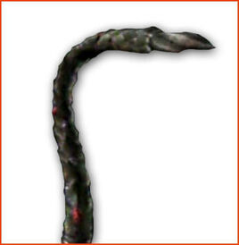 Tentacle 2