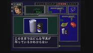 Japanese item description